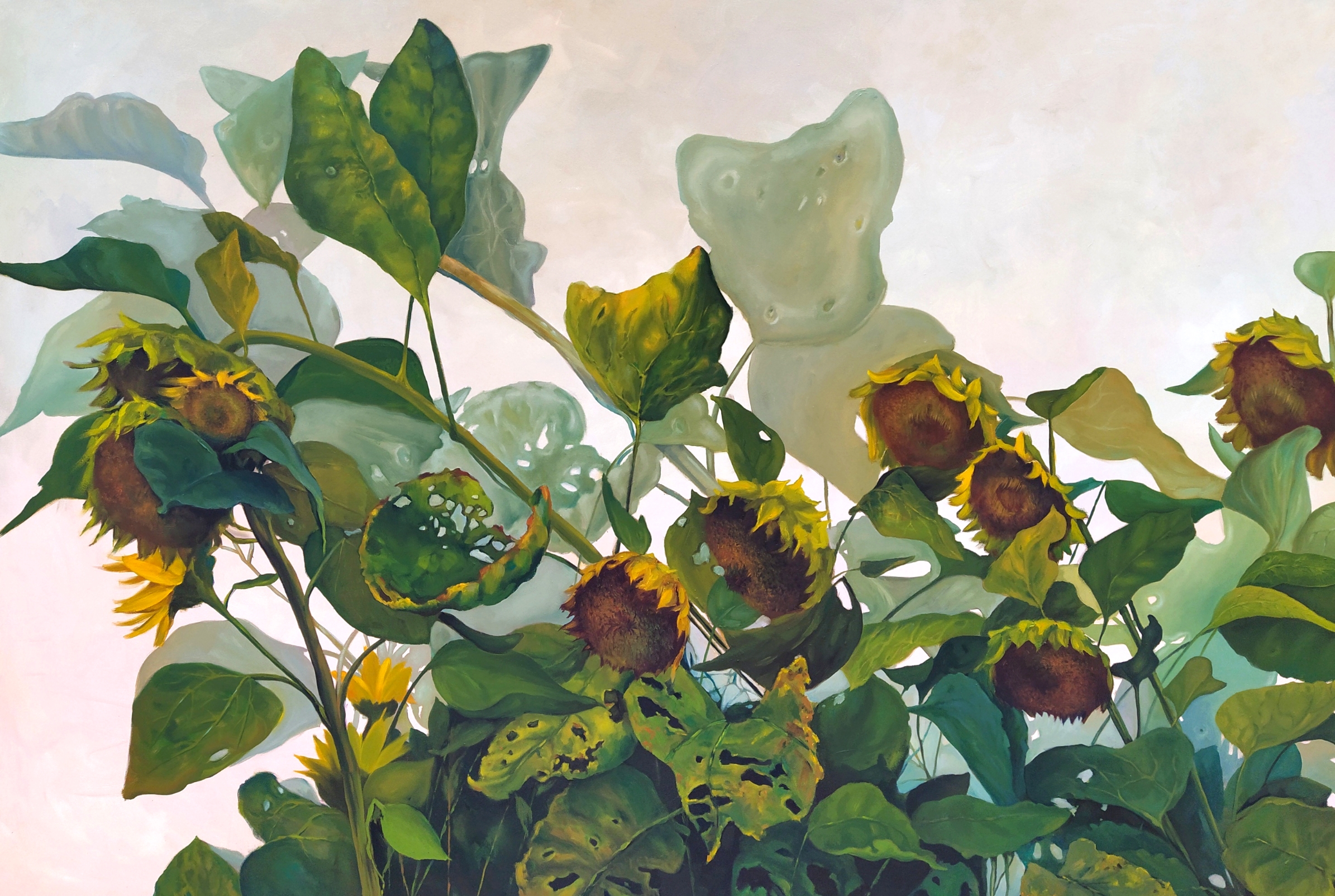 Oil painting on canvas depicting sunflowers by Mila Chyżawska