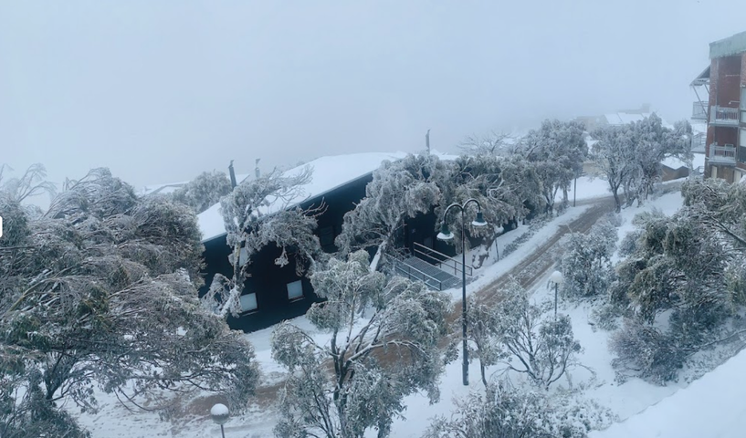 Mt Buller Village