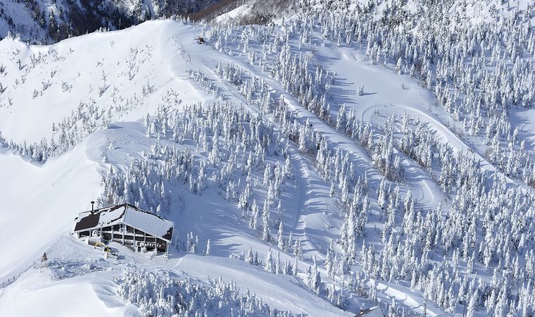 Shiga Kogen Snow Japan