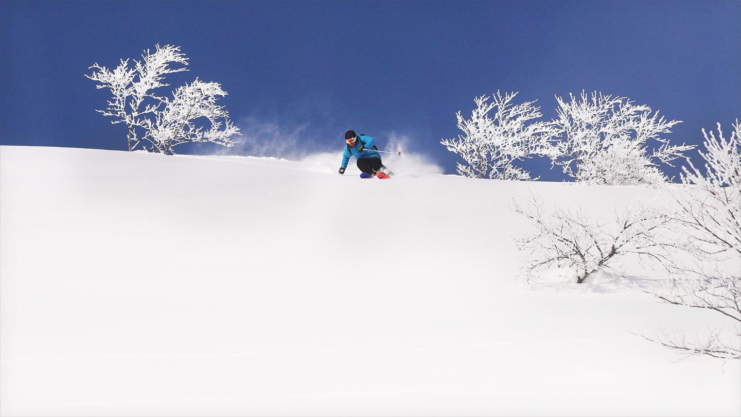 Lotte Arai Ski Resort Japan