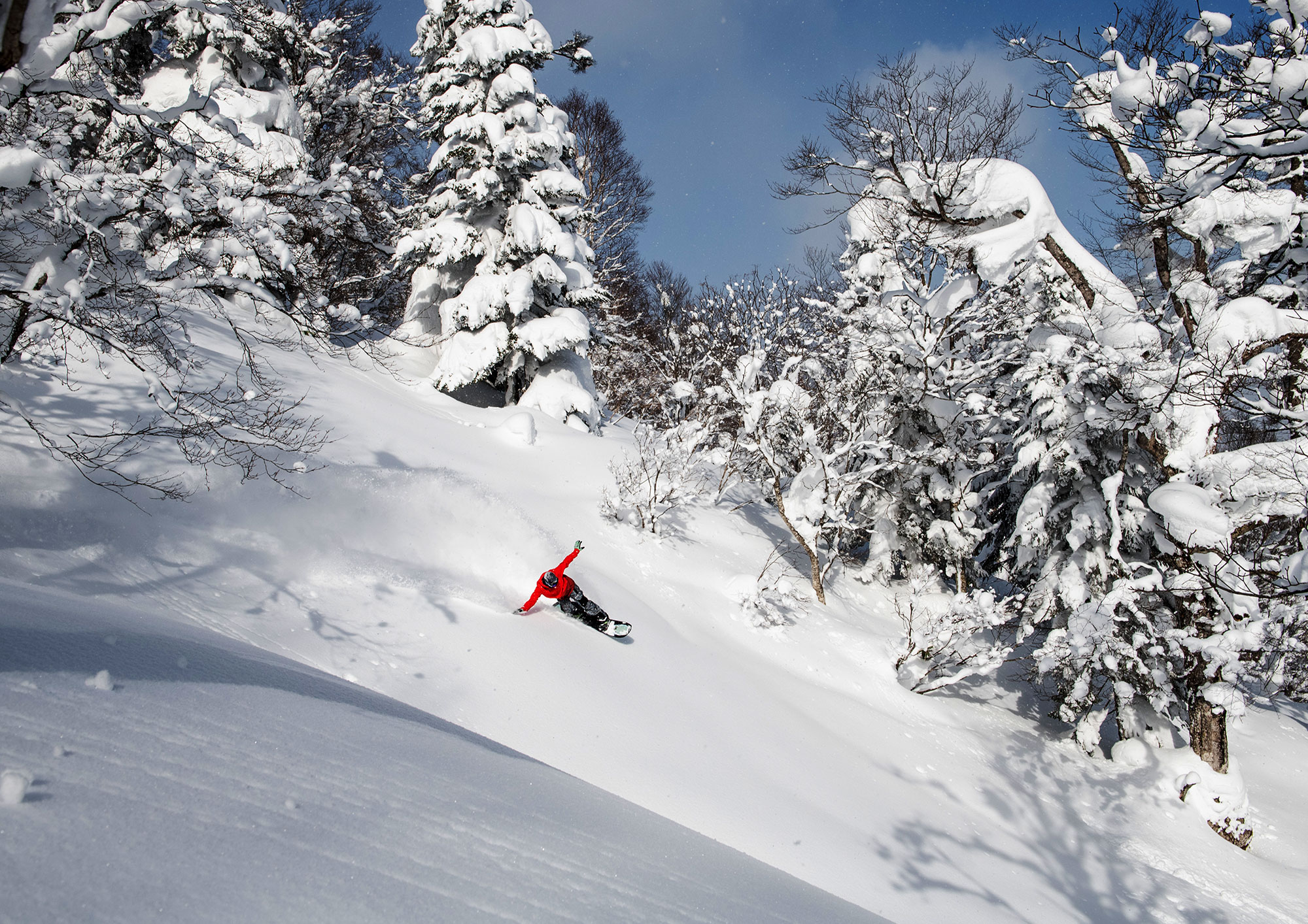 Appi Kogen Ski Resort Iwate Japan