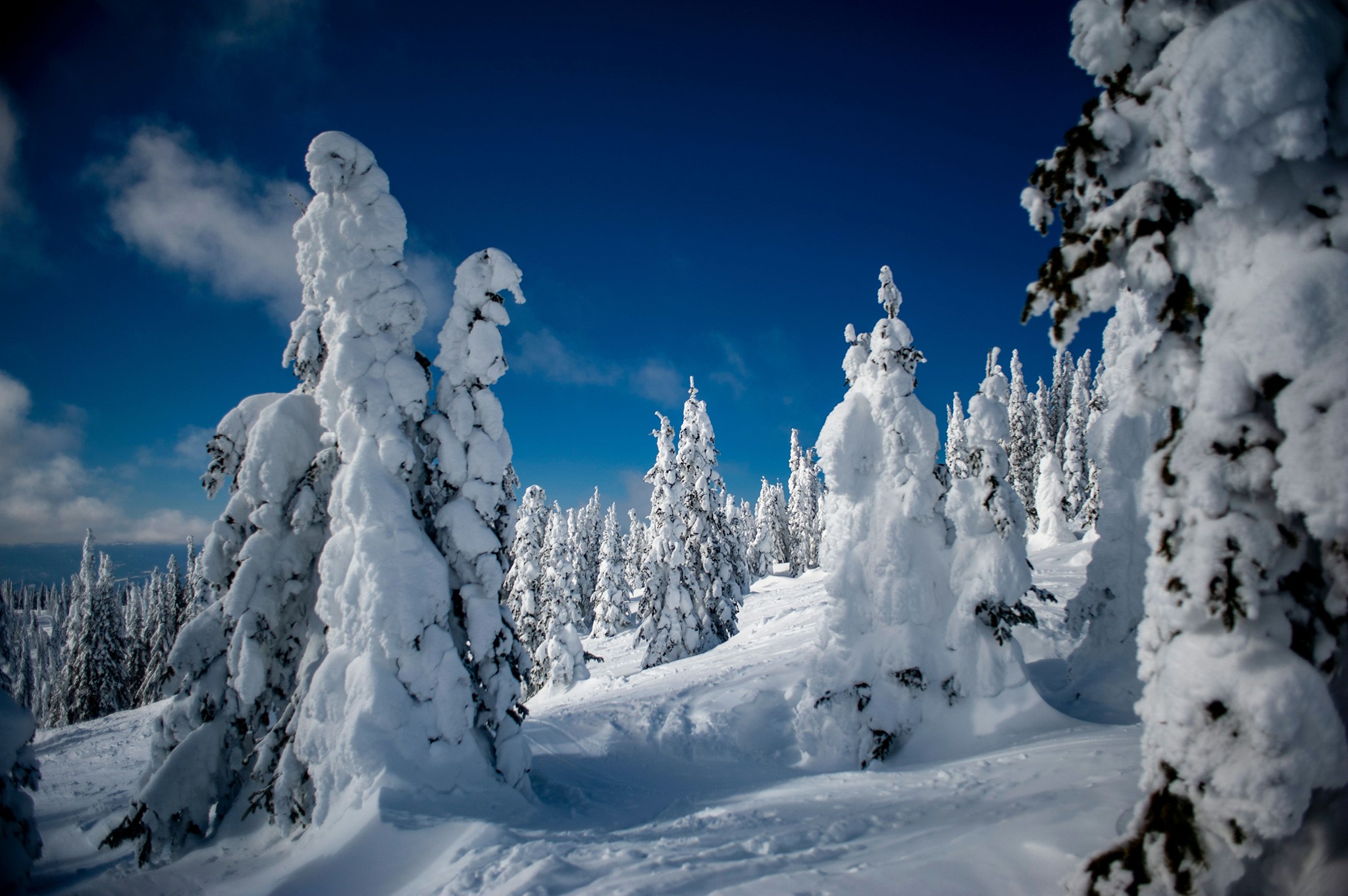 silverstar mountain resort canada