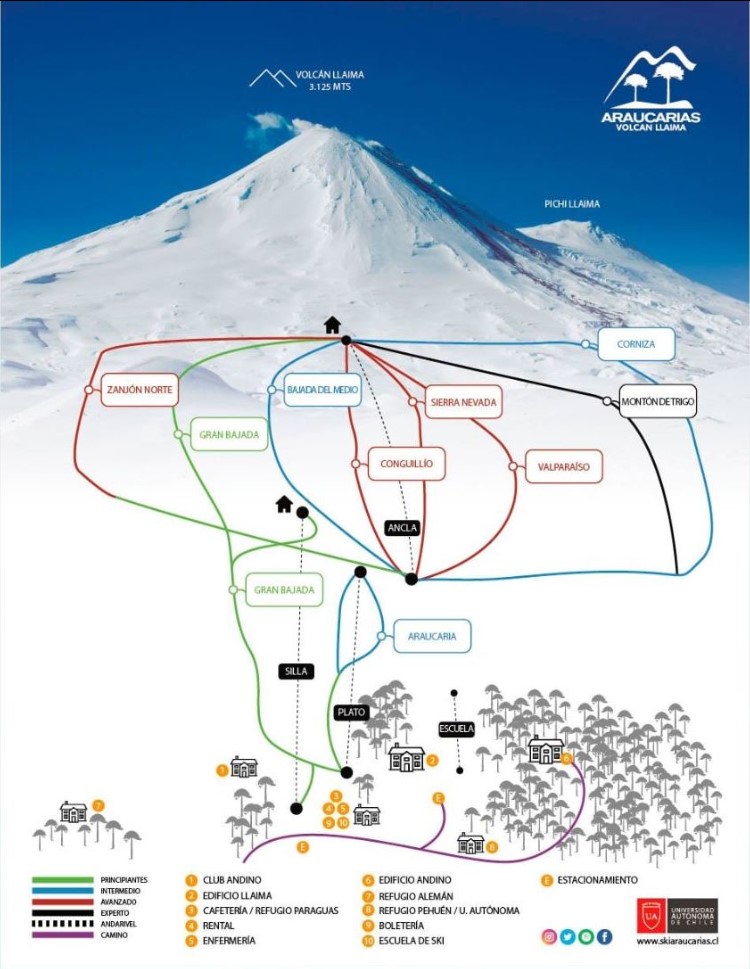 araucarias volcan llaima trail map