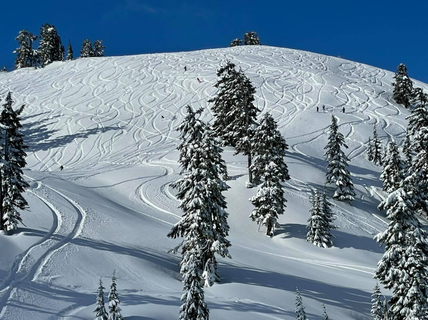 Mt Baker Ski Area Washigton State USA