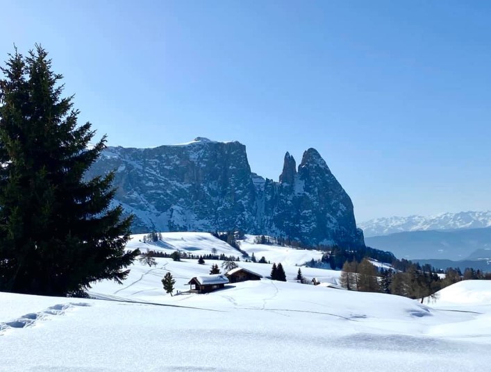 Alpe Di Siusi/Seiser Alm Ski Resort Italy