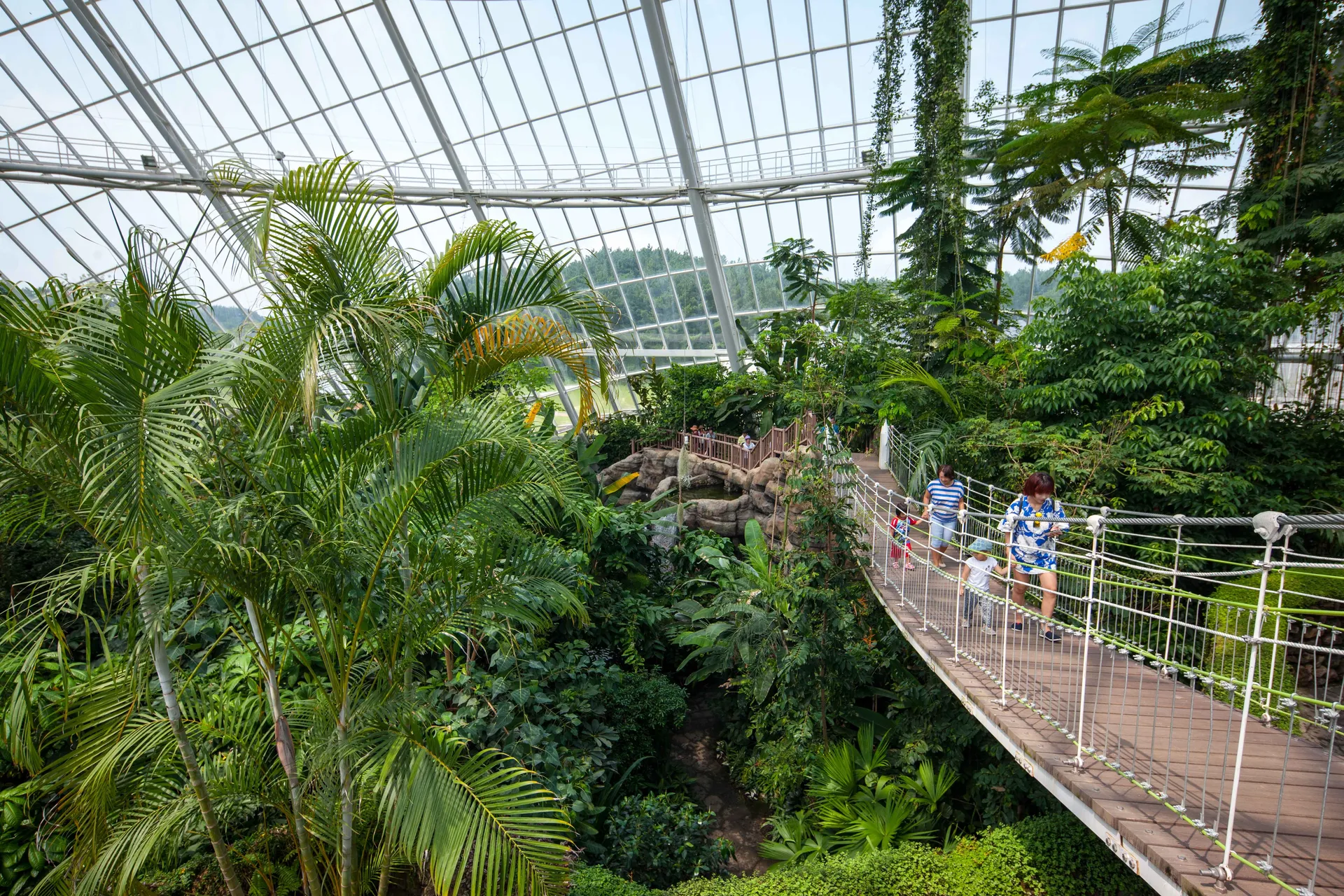 Surviving Seocheon's National Institute of Ecology: A Realistic Spring Family Guide