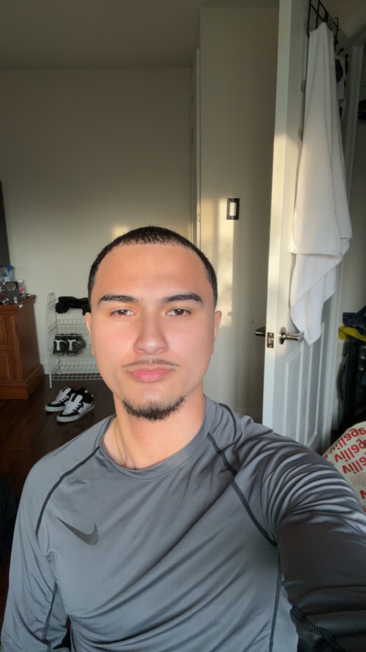 Matthew Di Matteo's profile picture