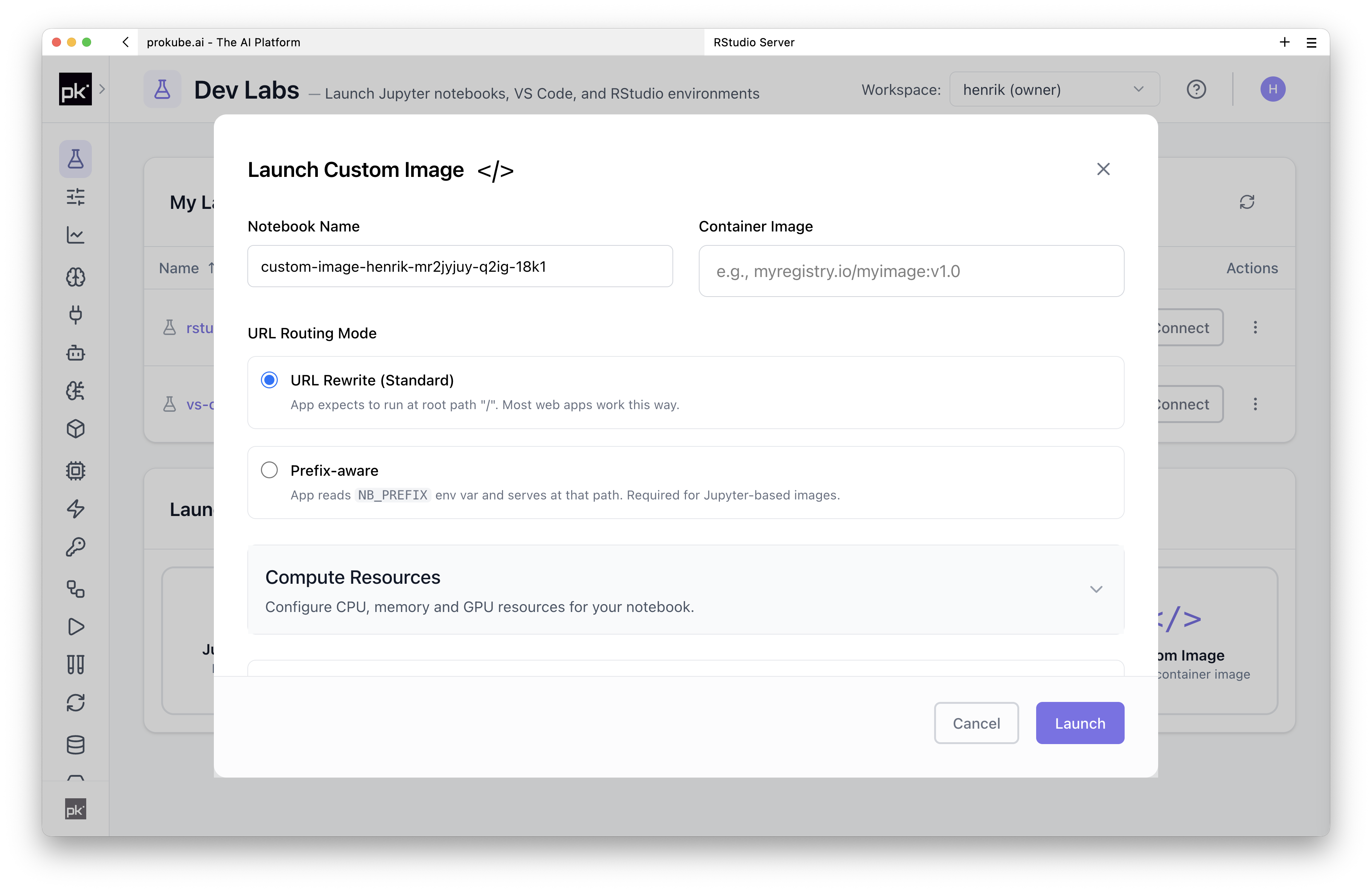 Launch a custom notebook image