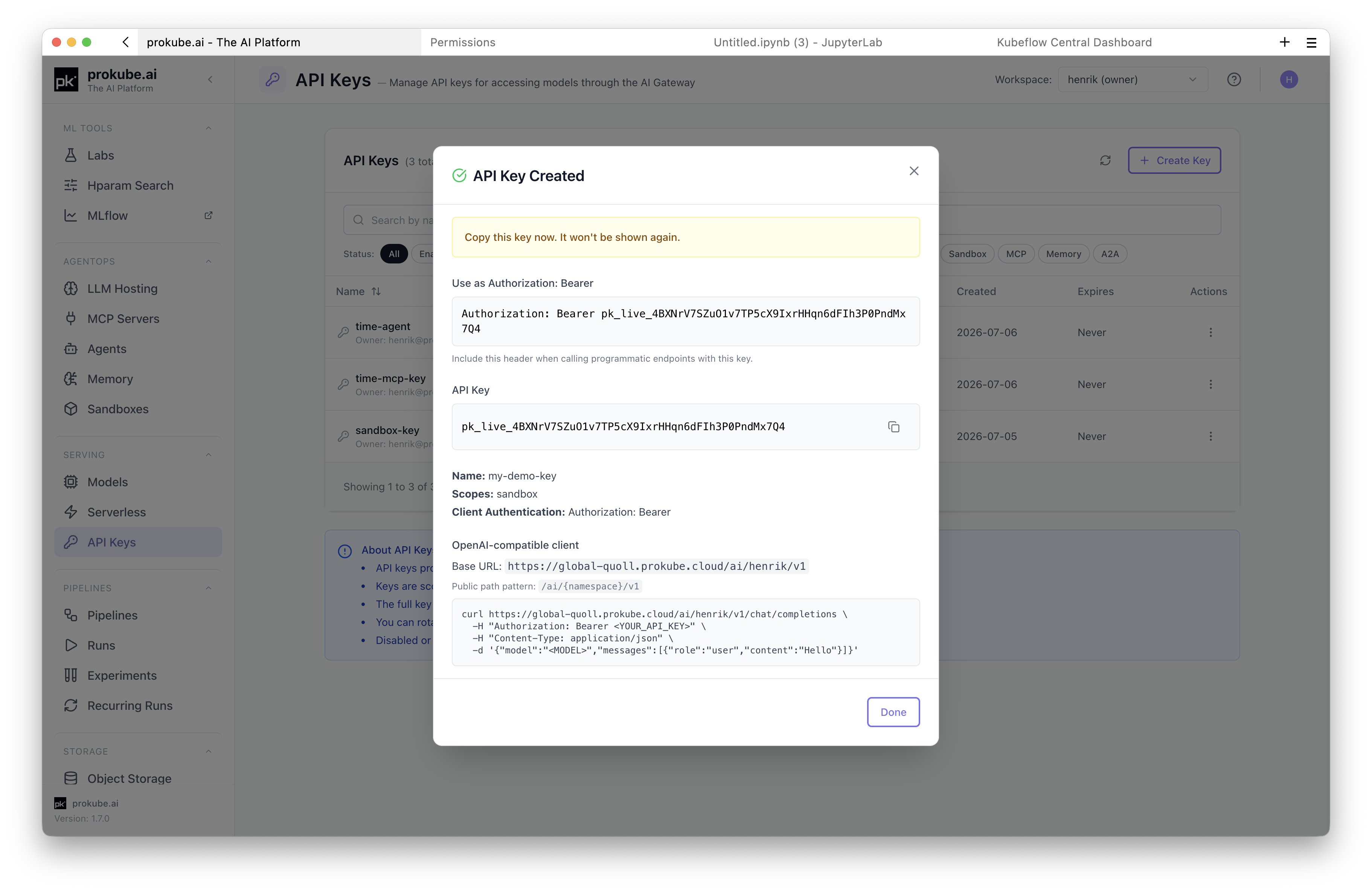 One-time API key display with copy action and client example