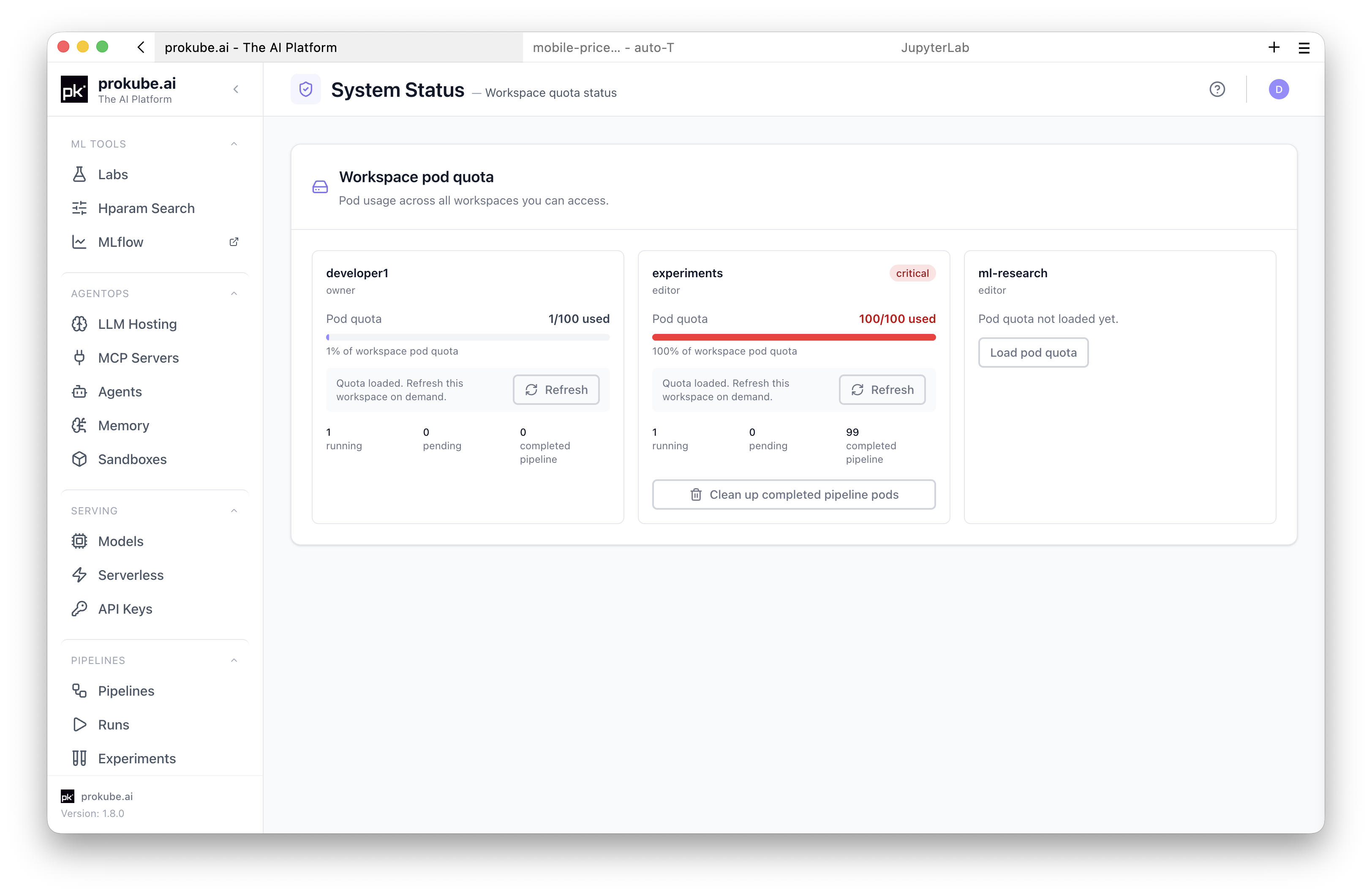 Workspace pod quota overview