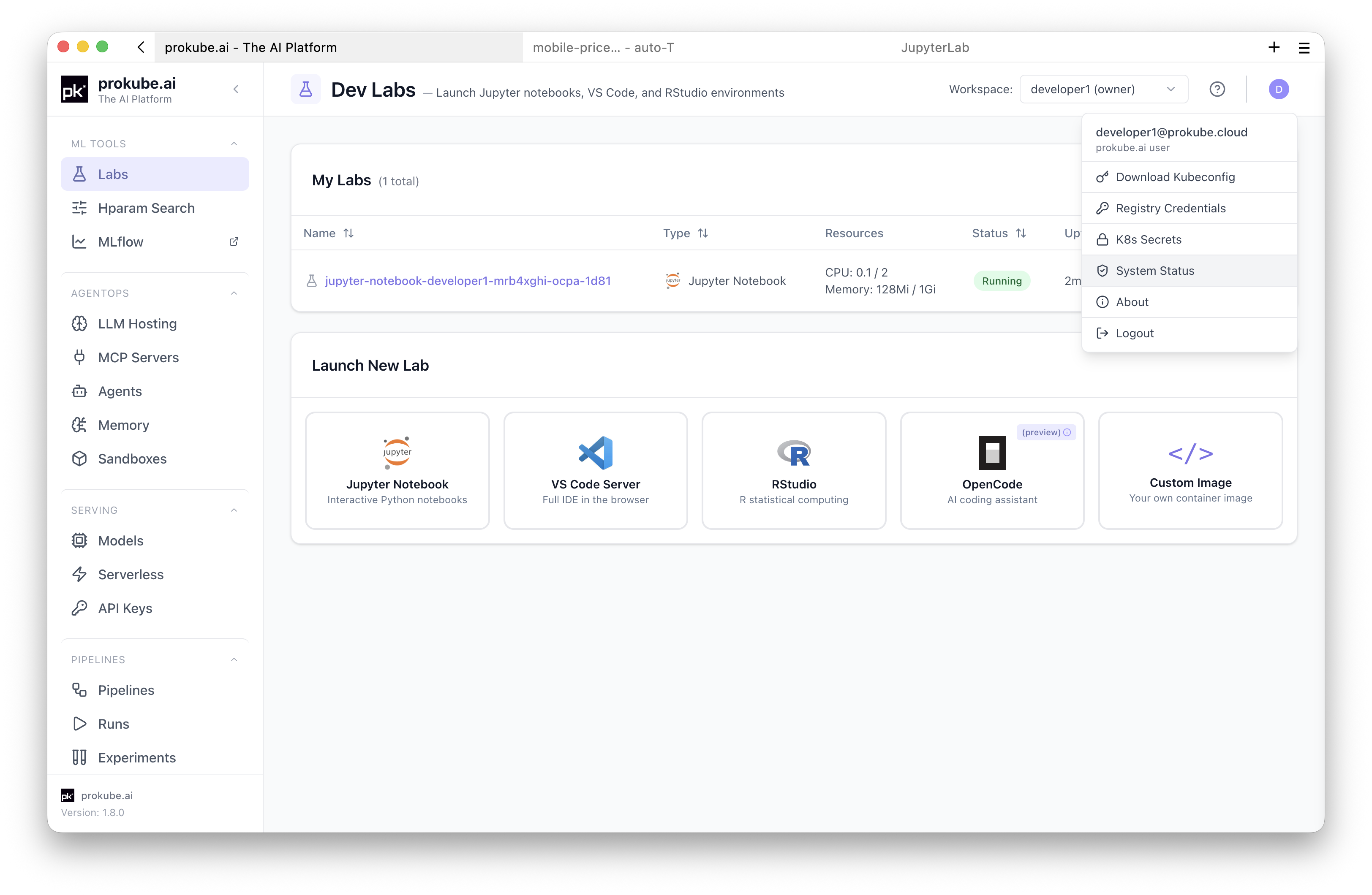 System Status in the user menu