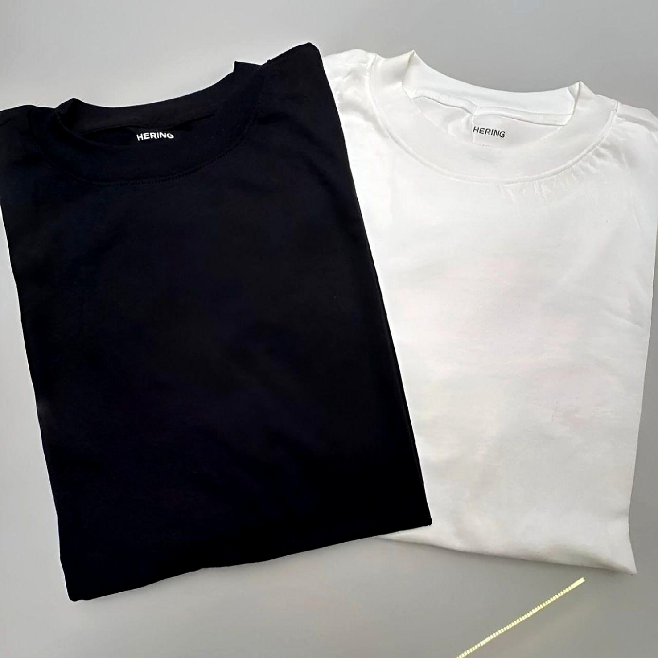 Kit com 2 Camisetas Relaxed Hering (P e M)