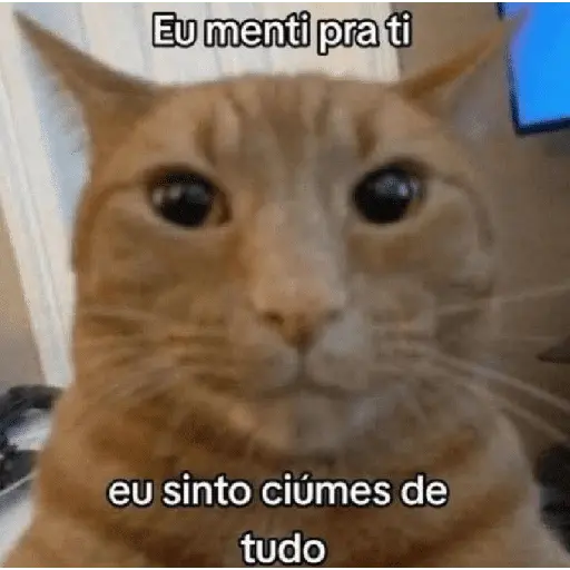 stickers_Memes_gatos_e_cachorros