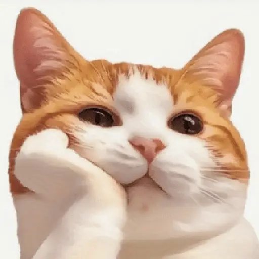 stickers_Memes_gatos_e_cachorros