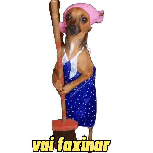 stickers_Memes_gatos_e_cachorros