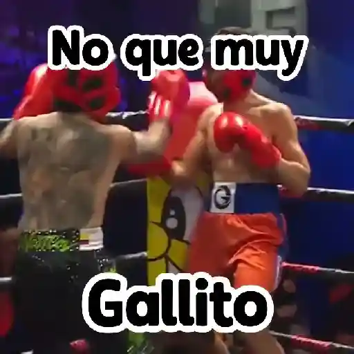 stickers_🎮_Westcol_🥊