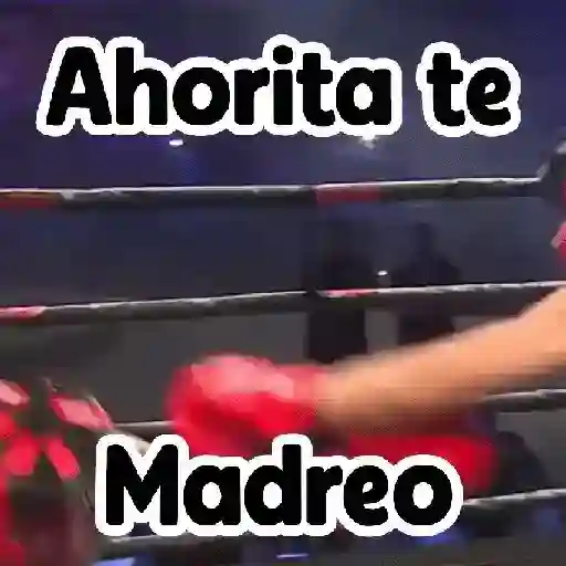 stickers_🎮_Westcol_🥊