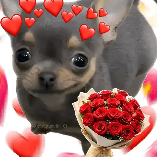 stickers_💞💖_AMOR_9_💖💞