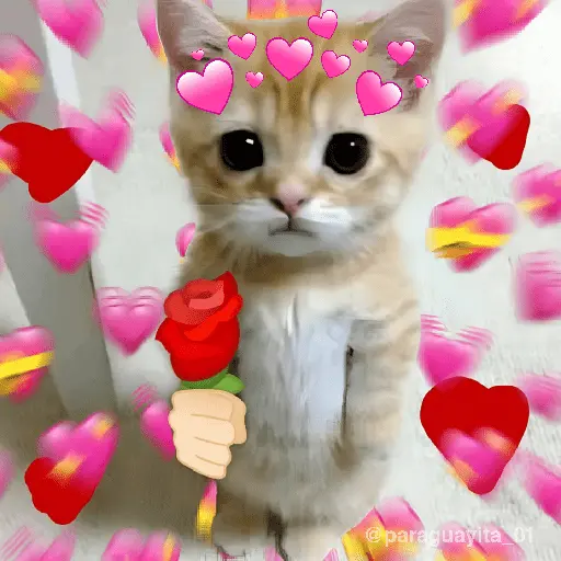 stickers_💞💖_AMOR_9_💖💞