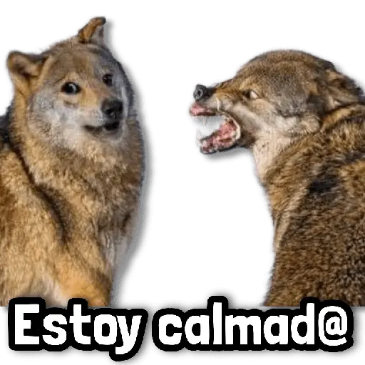 stickers_Stickers_sin_Filtro_#➊➐_💦