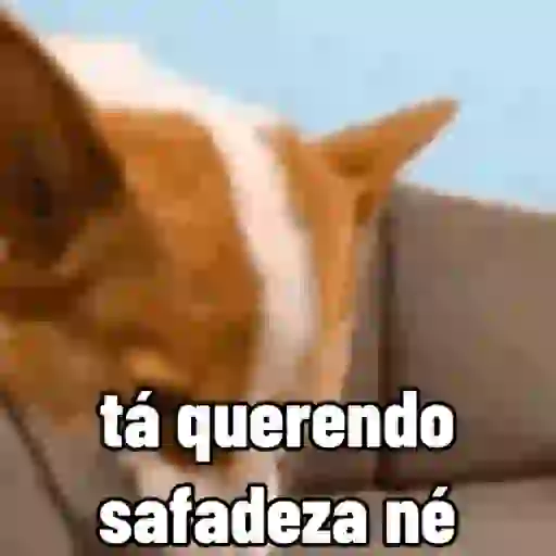 stickers_sapecagens_-_animadas