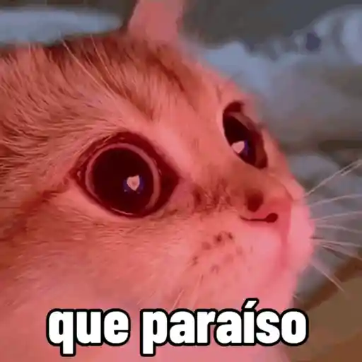 stickers_sapecagens_-_animadas