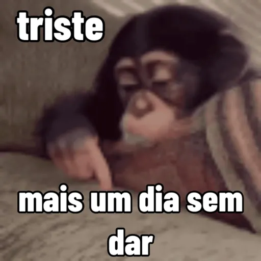 stickers_sapecagens_-_animadas