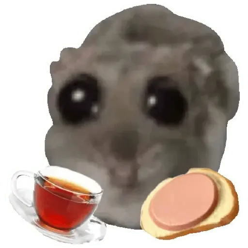 stickers_Rata_triste_Hámster_Memes_🐭🐹