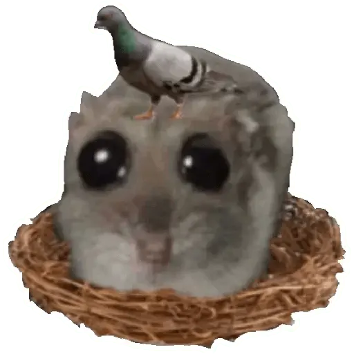 stickers_Rata_triste_Hámster_Memes_🐭🐹