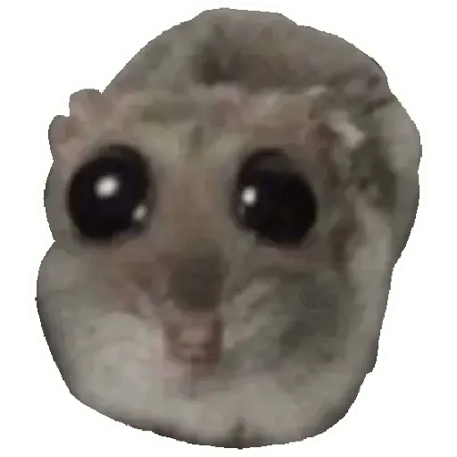 stickers_Rata_triste_Hámster_Memes_🐭🐹