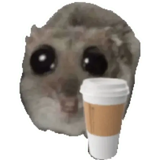 stickers_Rata_triste_Hámster_Memes_🐭🐹