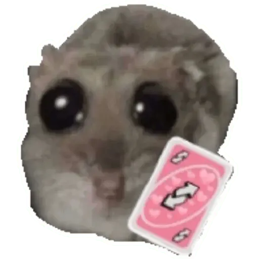 stickers_Rata_triste_Hámster_Memes_🐭🐹
