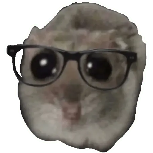 stickers_Rata_triste_Hámster_Memes_🐭🐹