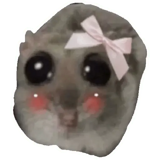 stickers_Rata_triste_Hámster_Memes_🐭🐹