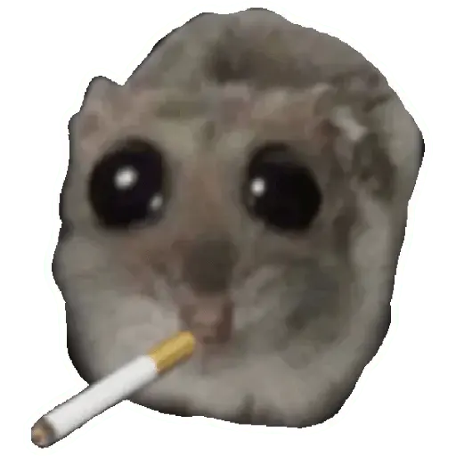 stickers_Rata_triste_Hámster_Memes_🐭🐹