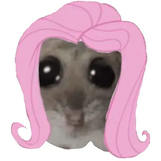 stickers_Rata_triste_Hámster_Memes_🐭🐹