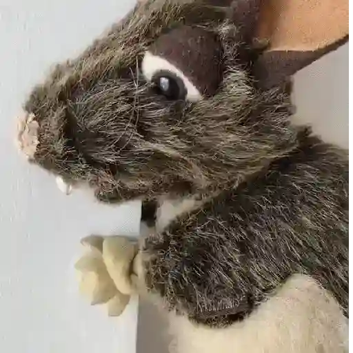 stickers_Rata_triste_de_TikTok_Meme😞🐭🐁