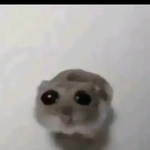 stickers_Rata_triste_de_TikTok_Meme😞🐭🐁