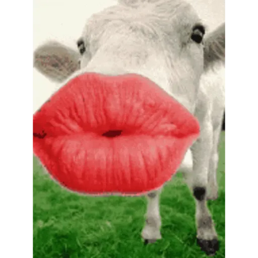stickers_🫦💋🤣Mordiendose_el_dedo_-_GIF__