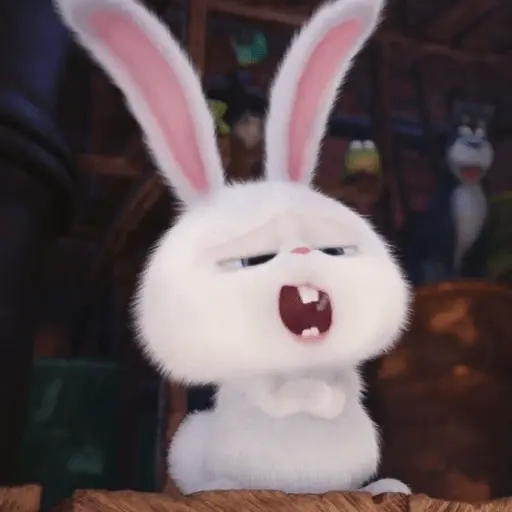 stickers_Snowball_random_🐰