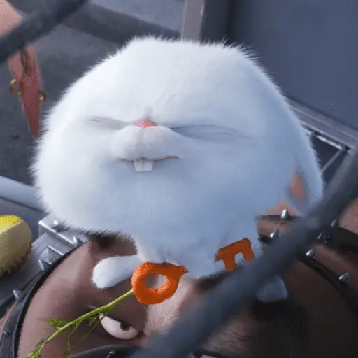 stickers_Snowball_random_🐰