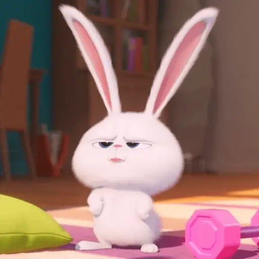 stickers_Snowball_random_🐰