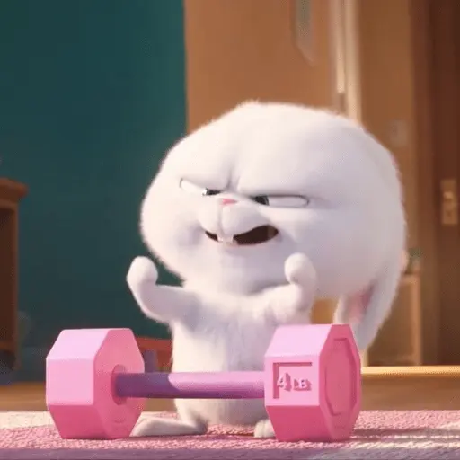 stickers_Snowball_random_🐰