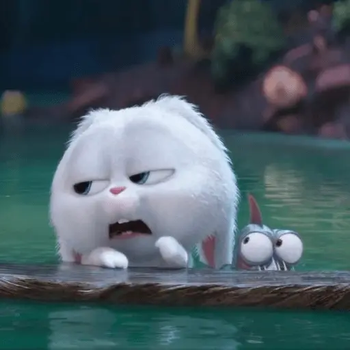 stickers_Snowball_random_🐰