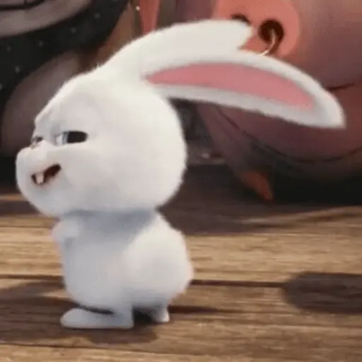 stickers_Snowball_random_🐰