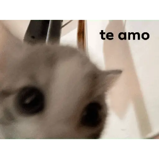 stickers_Animales_😈