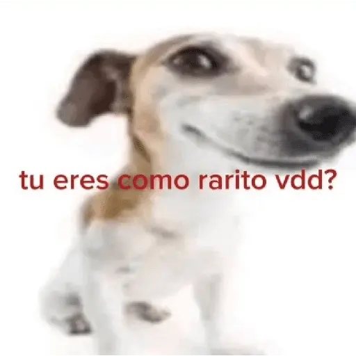 stickers_Animales_😈