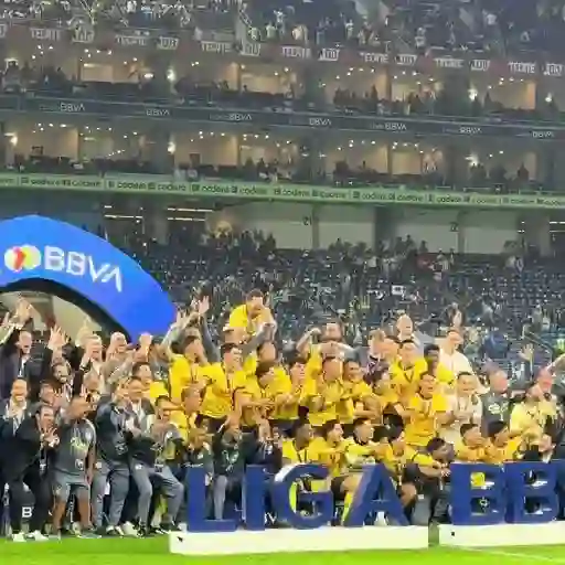 stickers_América_equipo_de_fútbol⚽