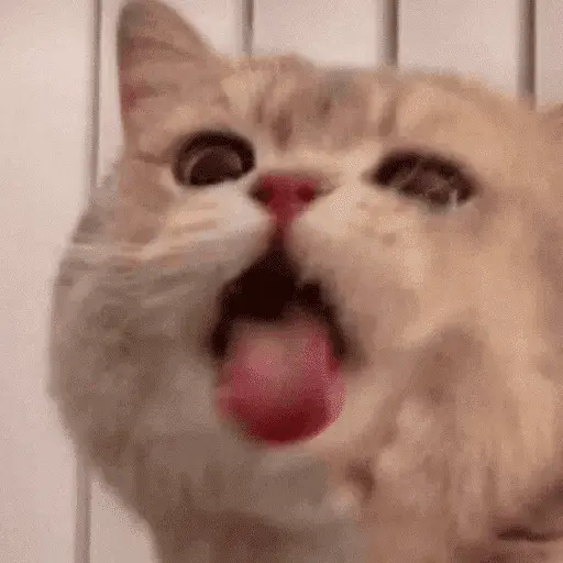 stickers_👅_LENGUITAAAAA_👅