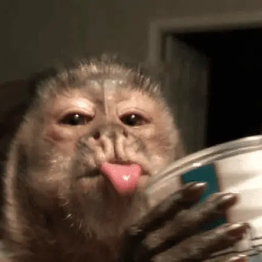 stickers_👅_LENGUITAAAAA_👅